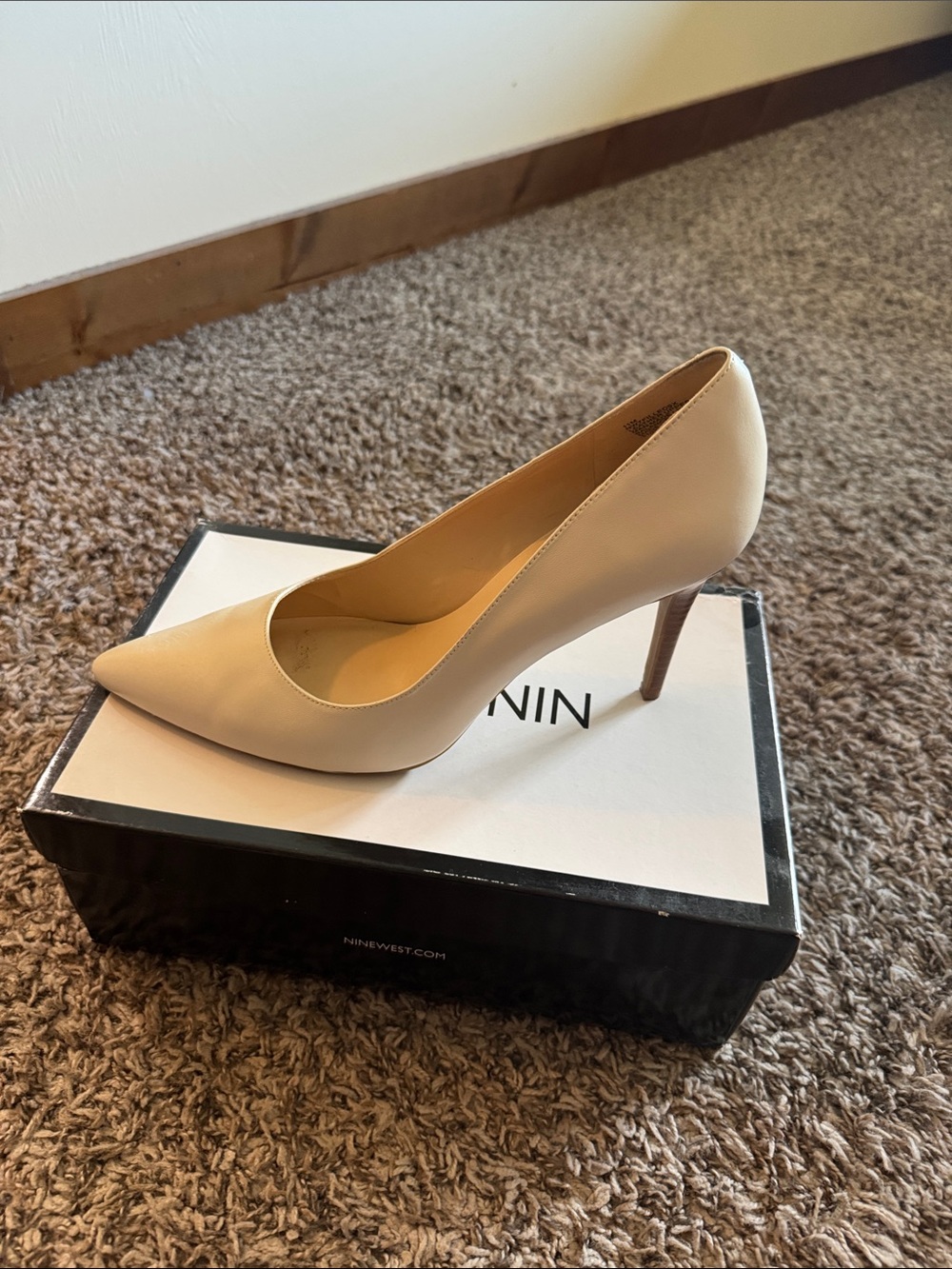 Nine West Nude Pointed-Toe Stiletto Pump